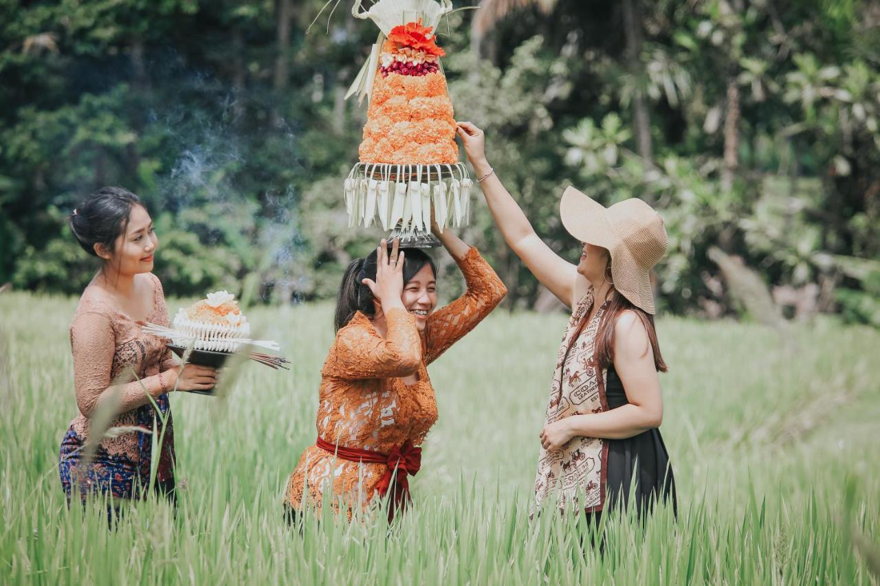 Sunshine Villas Ubud מראה חיצוני תמונה