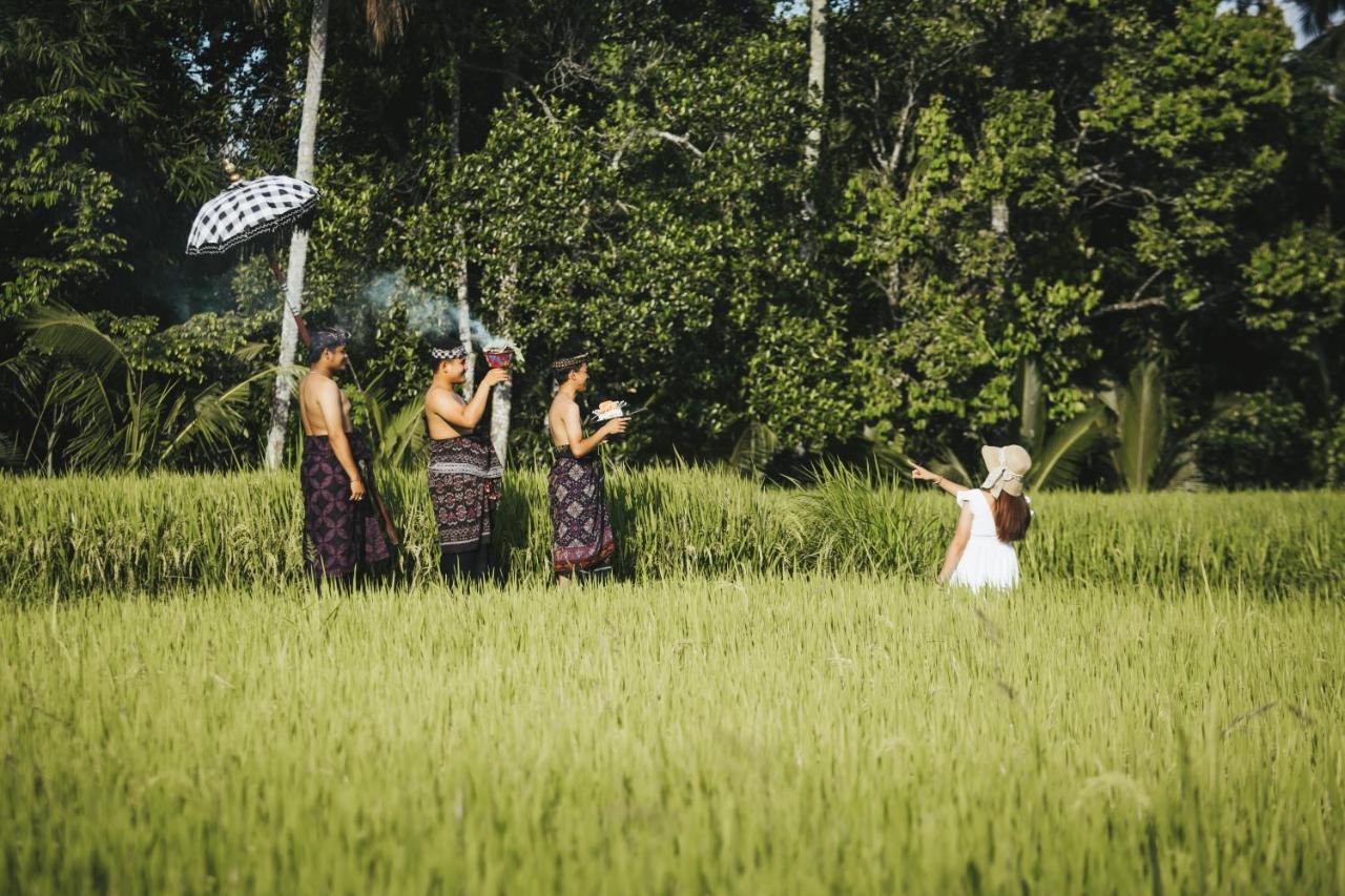 Sunshine Villas Ubud מראה חיצוני תמונה